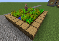 Ферма малая.png